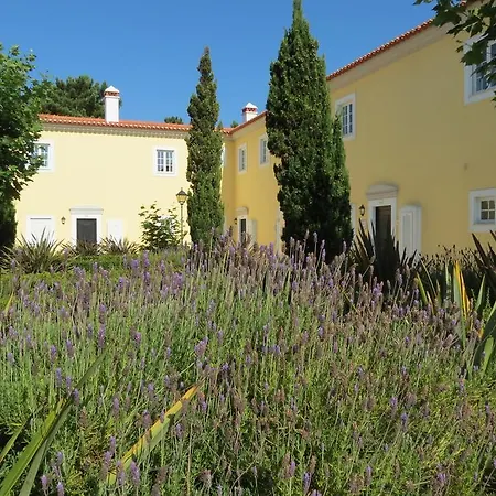 Villa Casa Pinha *
