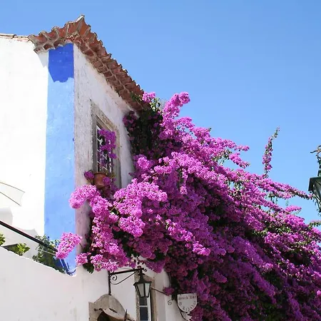 Casa Pinha Villa