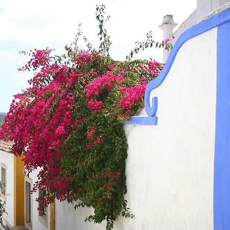 Villa Casa Pinha *
